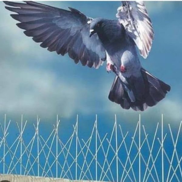 Bird Spikes Installation